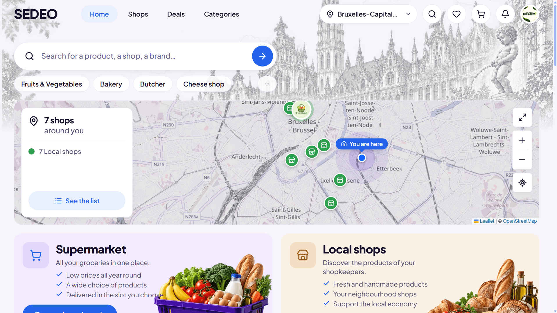 Sedeo website by Devzey